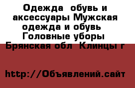 Одежда, обувь и аксессуары Мужская одежда и обувь - Головные уборы. Брянская обл.,Клинцы г.